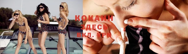 спайс Анива